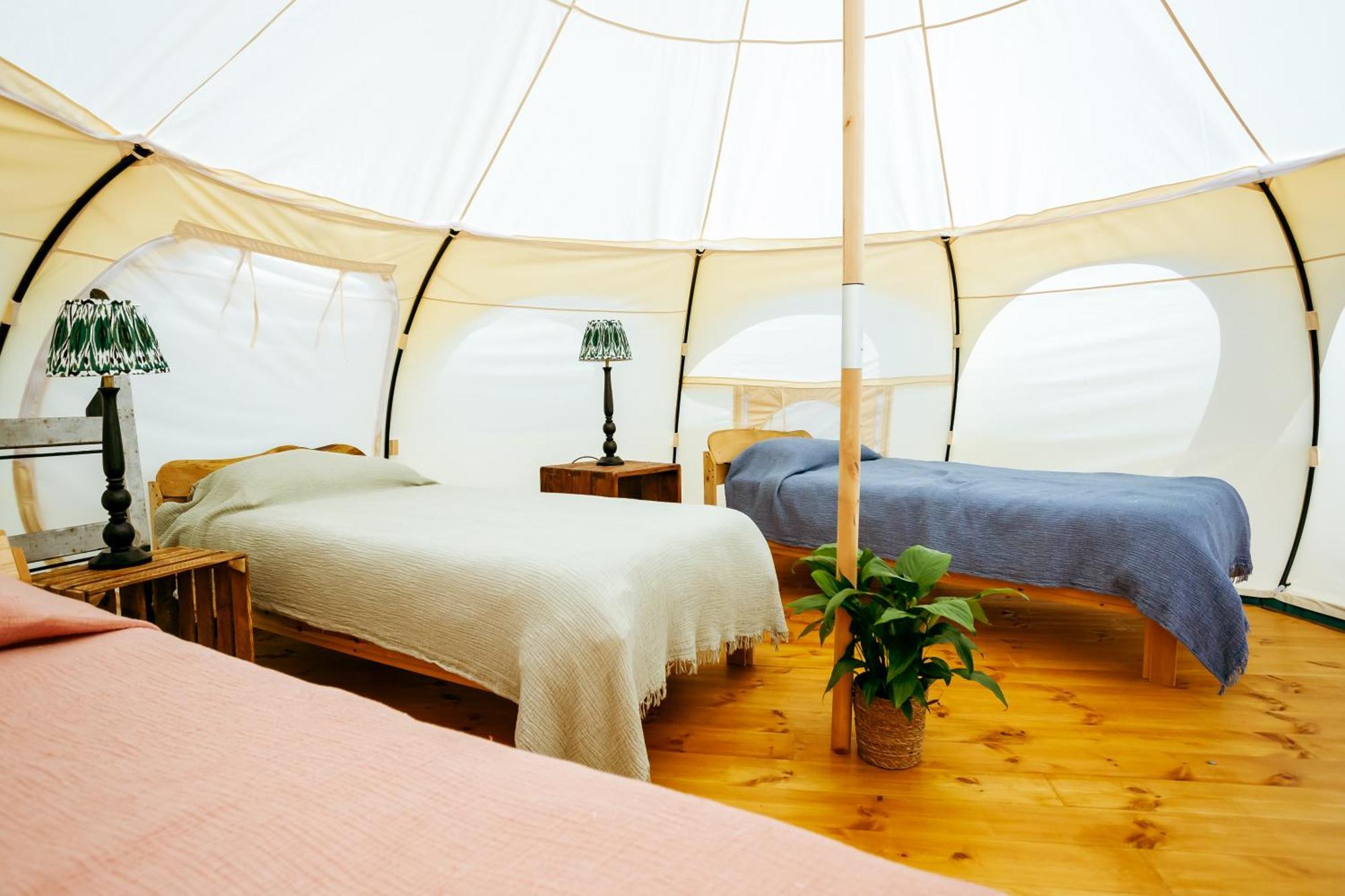 Luxury Glamping Retreat In Battle Villa Eksteriør bilde